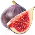 ثمار التين